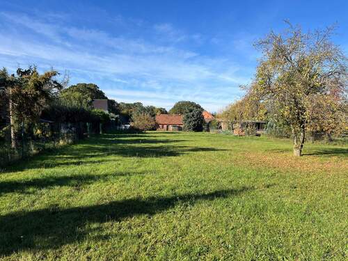 Foto hintere Grundstück.jpg - Zwei Rückzugsorte im Herzen von Klein Oßnig – Platz für Ruhe, Natur und Ideen