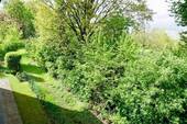 Blick aus ihrer Wohnung - 