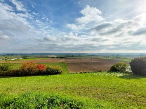 Aussicht von Straße Freiwinklstr 9_bearbeitet.jpg - Grundstück zum Kaufen in Moosthenning