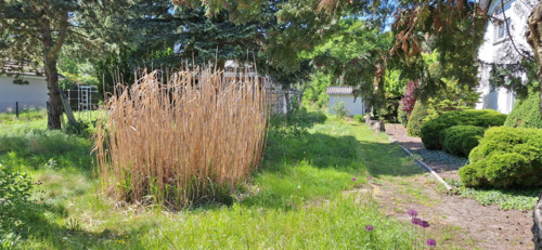 02_20240509_143819 - Grundstück zum Kaufen in Schönwalde-Glien