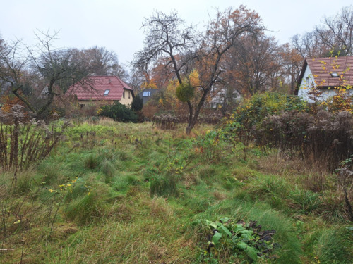 01_1000090534 - Grundstück in Schönwalde-Glien zum Kaufen