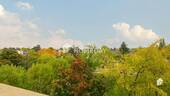 Ausblick - 