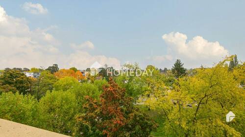 Ausblick - 