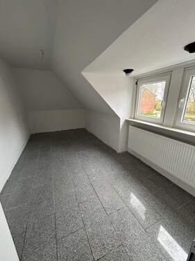 3. Zimmer DG - 