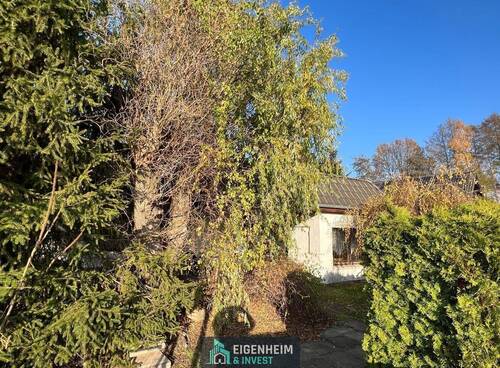 Altbestand - 4 Zimmer Mehrfamilienhaus, Wohnhaus in Falkensee