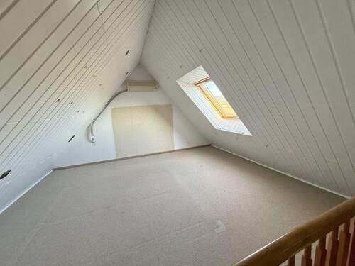 Dachspitz - 
