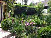 Üppige Natur in Ihrem Garten - 5 Zimmer Einfamilienhaus in Starnberg