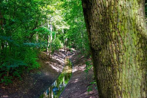 RehbergePark - 