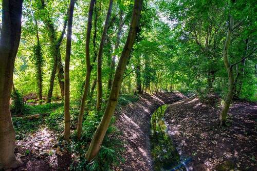 RehbergePark_5793 - 