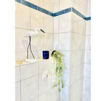 Grosse DG-Wohnung mit herrlichem Blick ??(ohne Balkon) - Koblenz-Arenberg