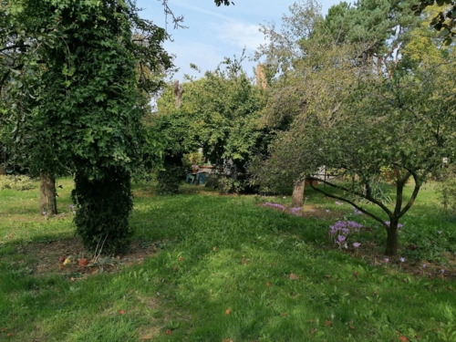 9948a382-2999-4c4f-8968-9ec8c85ef36a - 