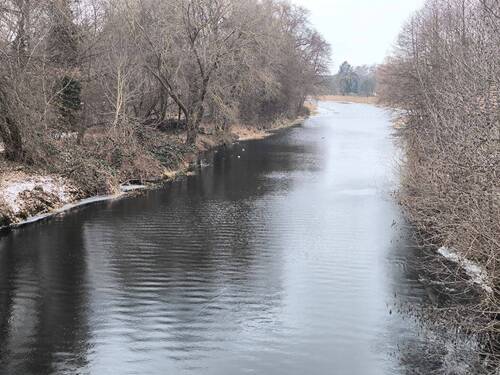 Grundstück - Grundstück zum Kaufen in Eberswalde