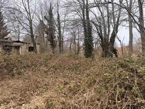 Grundstück - Grundstück in Eberswalde