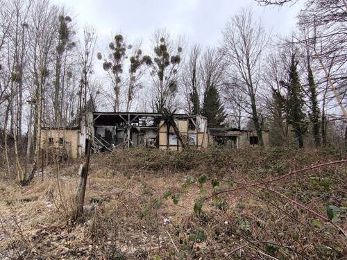 Grundstück - Grundstück in Eberswalde zum Kaufen