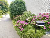 Bild 27 - 