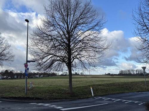 Ausblick nach vorne - 