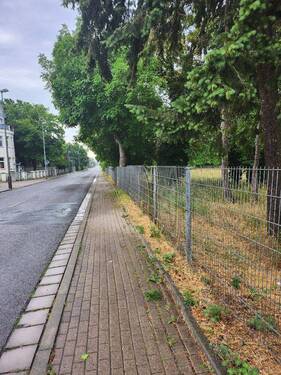 Straße vor dem Grundstück.jpg - Grundstück in Leipzig zum Kaufen