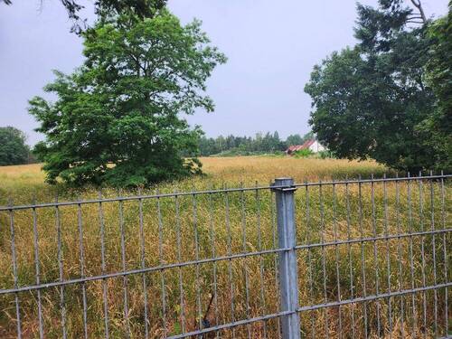 Grundstück 3.jpg - 