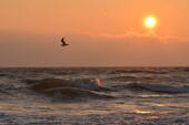 Herbstliche Strandimpression - 