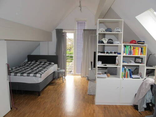 2024-03-30 13.36.38.jpg - 