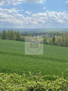 ETW 8 - 3 Zimmer Etagenwohnung zum Kaufen in Zwickau