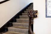 Treppenhaus - 