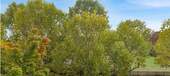 Blick aufs Feld - 