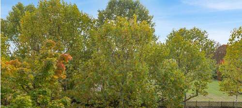 Blick aufs Feld - 