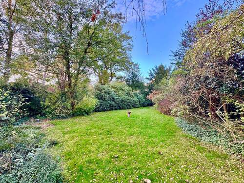 Blick in den vorderen Garten - 