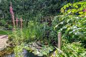 Teichanlage - 