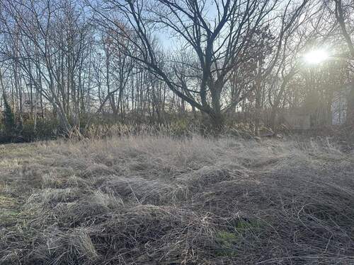 Ansicht Grundstück - Grundstück zum Kaufen in Berlin