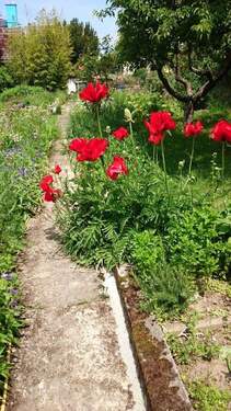 Bild 4 - Einfamilienhaus mit 121,00 m&sup2; in Otzberg zur Miete