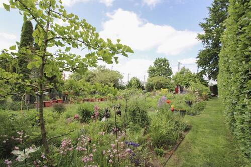 Garten (5) - 
