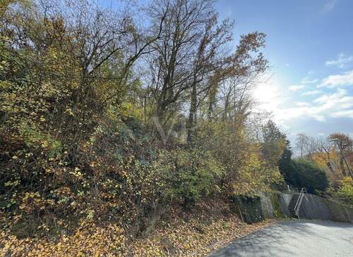 Grundstück - Grundstück in Eppstein zum Kaufen