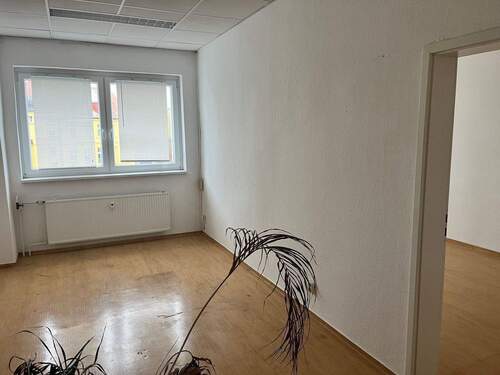 IMG_4299.jpeg - 1 Zimmer Einfamilienhaus zur Miete in Leipzig