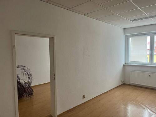 IMG_4297.jpeg - 1 Zimmer Einfamilienhaus in Leipzig