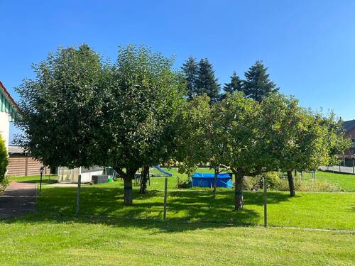Obstbäume im großzügigen Garten - 