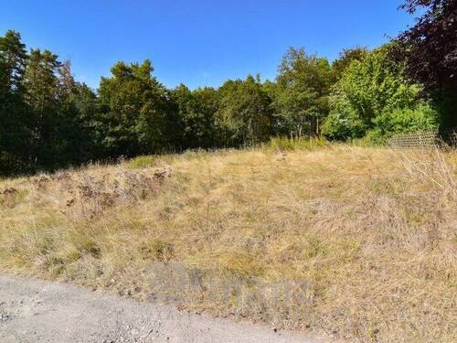 Ansicht - Grundstück zum Kaufen in Crimmitschau