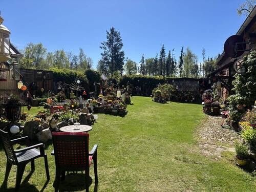 Blick in den Garten - 