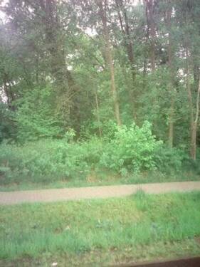 Bild 3 - Grundstück in Falkensee