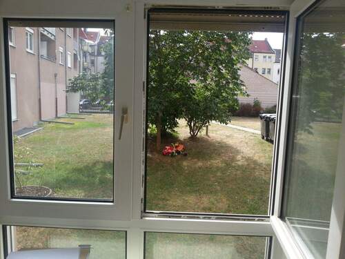 20150720_094651.jpg - 