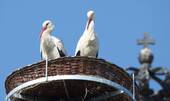Umgebung - 
