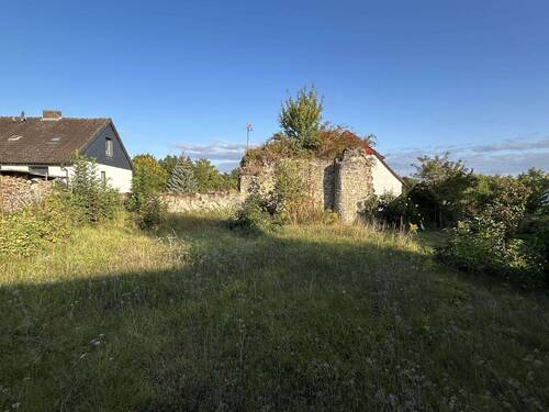 Garten - 
