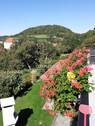 Blick von Balkon - 