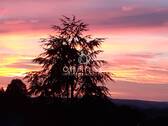 Sonnenuntergang - 