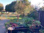 Weitblick - 