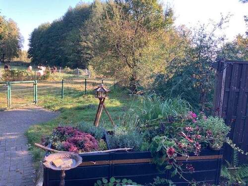 Weitblick - 