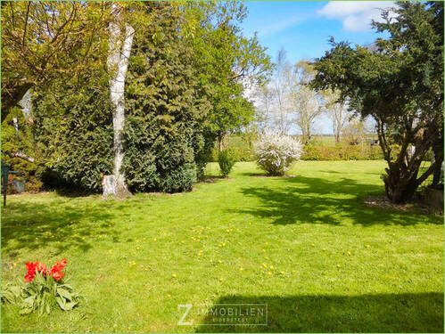 Blick in den Garten - 