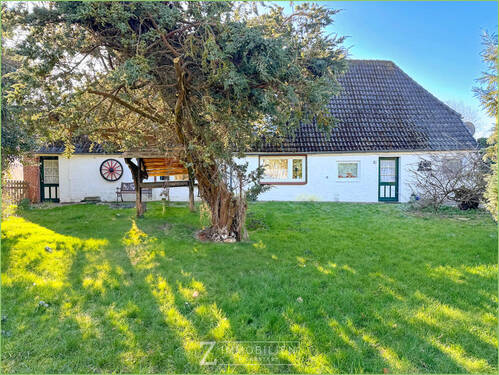 Garten im Frühjahr - 