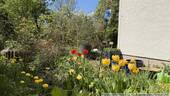 Garten01 - 
